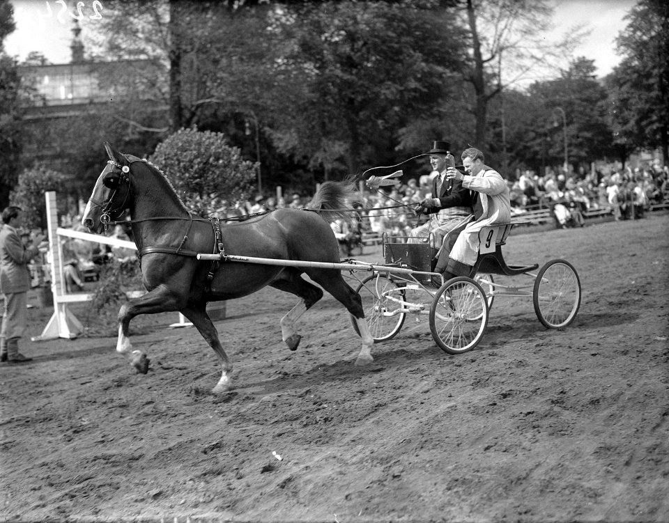 Concours Hippique Amsterdam, Bestanddeelnr 902-2540
