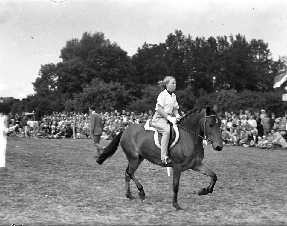 Concours Hippique , Koninklijke familie, Bestanddeelnr 903-5415