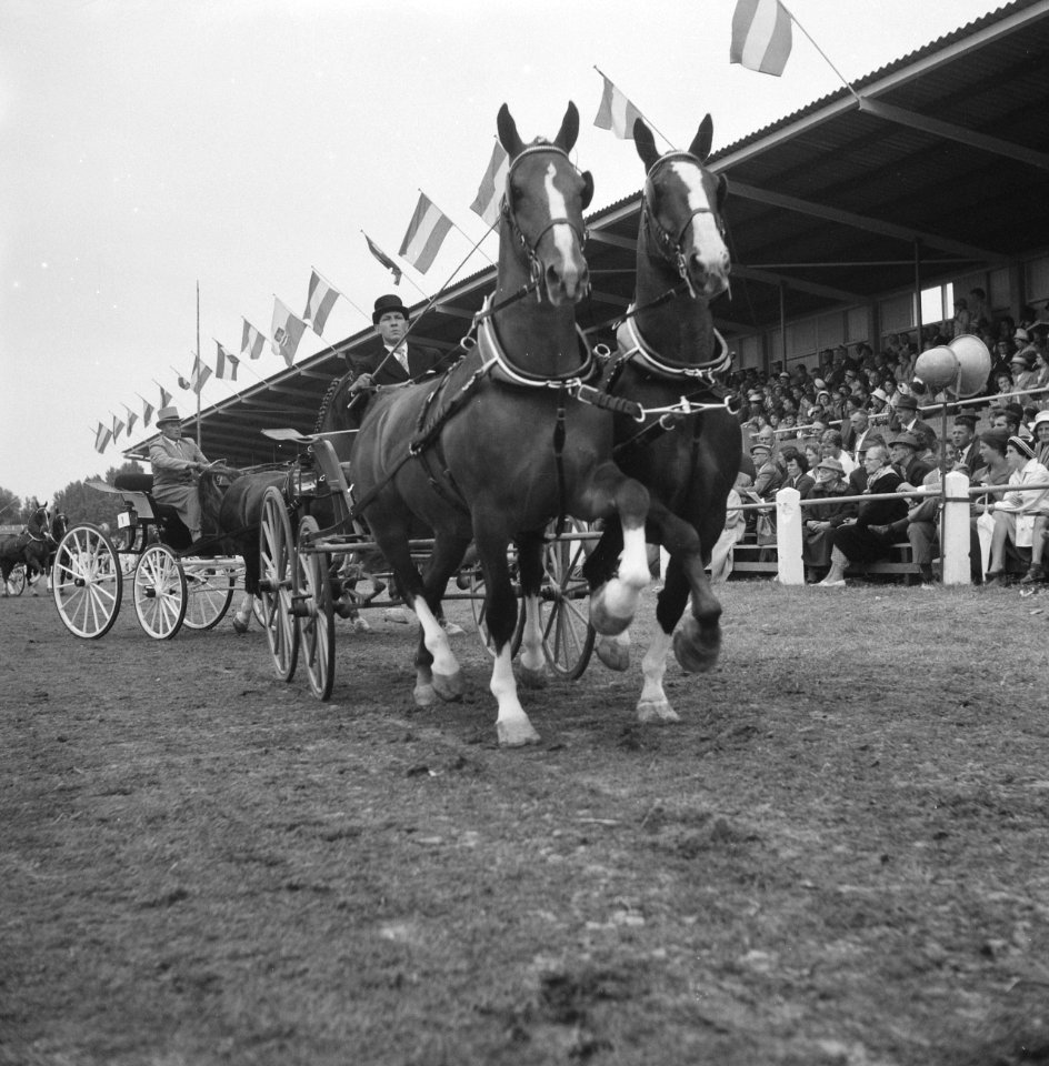 Concours Hippique in Hoofddorp, Bestanddeelnr 911-4220