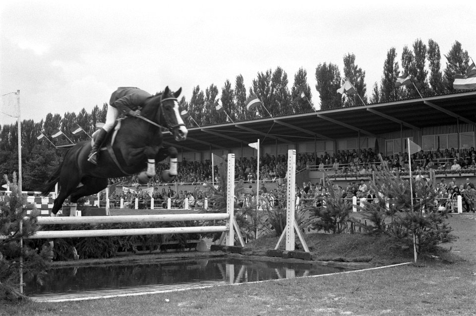 Concours Hippique om Nederlandse Kampioenschappen in Hoofddorp, Bestanddeelnr 912-7500