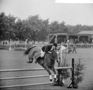 Concours Hippique in Sportpark Rightersbleekte Enschede de Duitse Ute Richter vi, Bestanddeelnr 915-2874