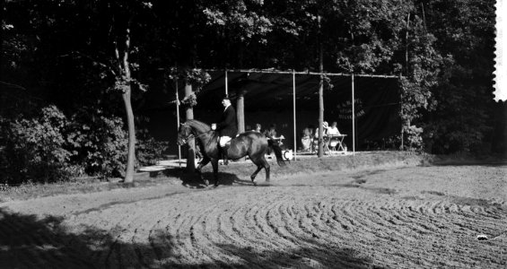 Concours Hippique in Rotterdam, dhr A J Pot, Bestanddeelnr 912-8803