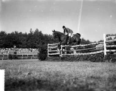 Concours Hippique in Rotterdam, Bestanddeelnr 912-8781