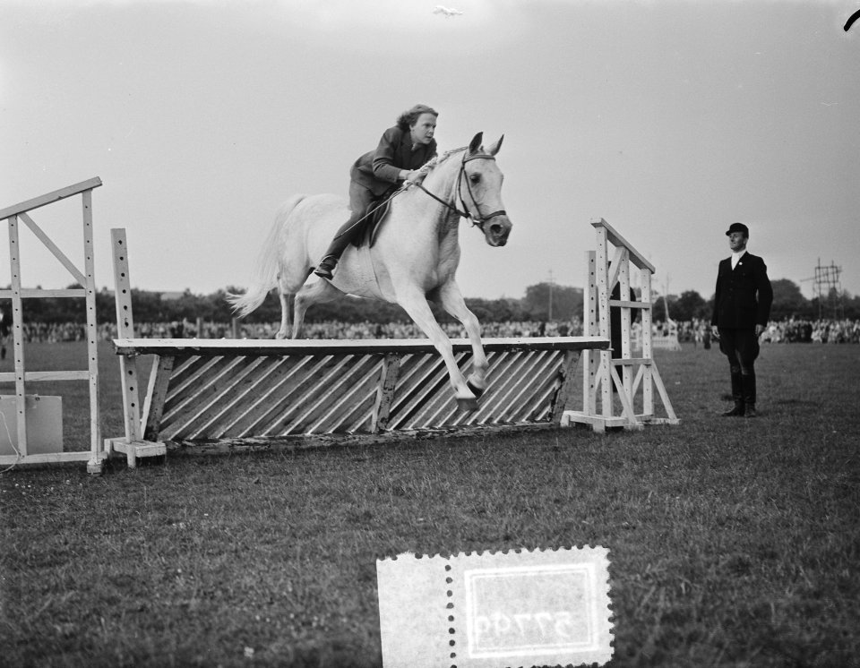 Concours Hippique te Amersfoort deelname Irene, Bestanddeelnr 905-7799