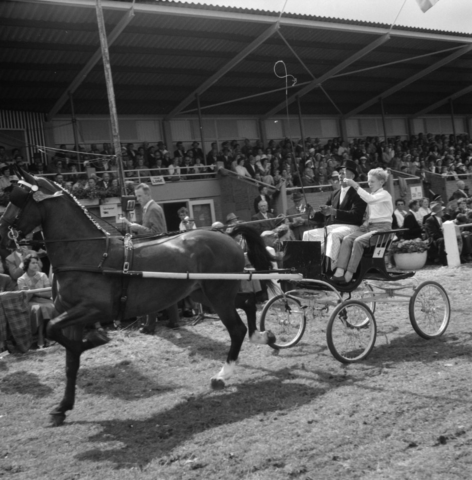 Concours Hippique in Hoofddorp, Bestanddeelnr 911-4221
