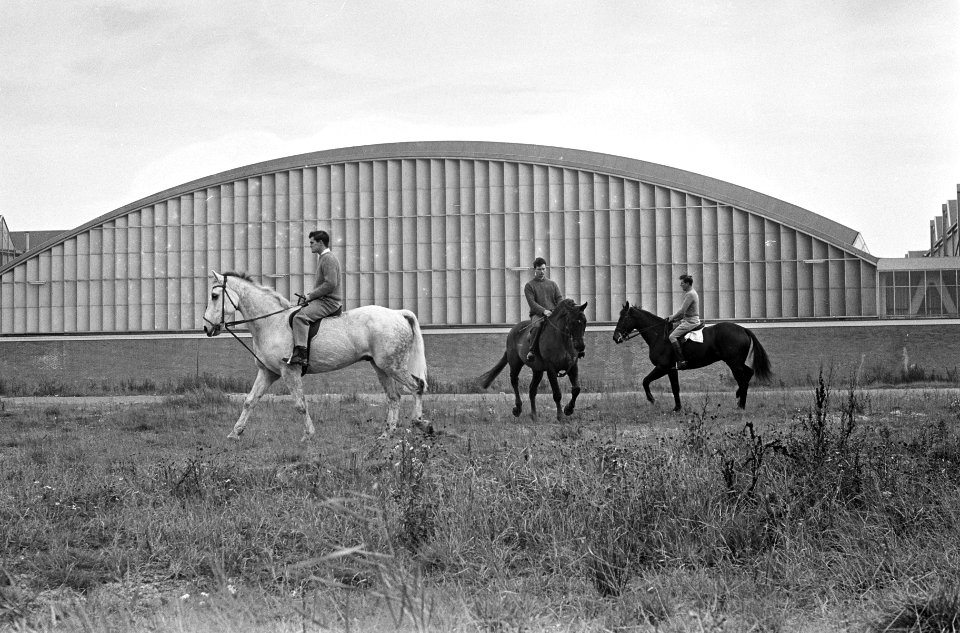 Concours Hippique in het RAI-gebouw. Geheel links de Engelse kampioen 1963 Warpo, Bestanddeelnr 915-6920