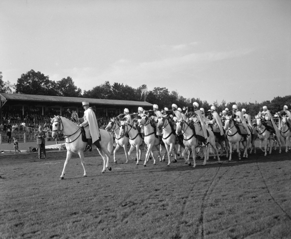 Concours hippique in Groningen, demonstraties van het zevende escadron Spahis Al, Bestanddeelnr 909-8054