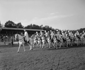 Concours hippique in Groningen, demonstraties van het zevende escadron Spahis Al, Bestanddeelnr 909-8054