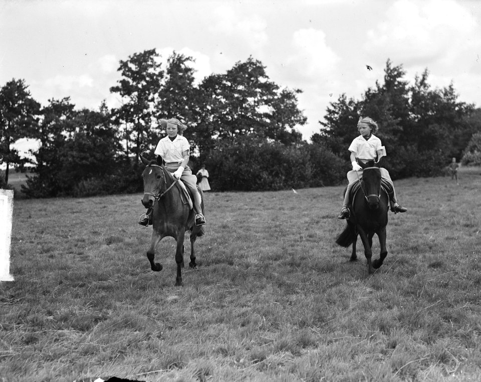 Concours Hippique , Koninklijke familie, Bestanddeelnr 903-5419