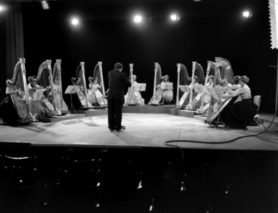 Concert voor 12 harpen, Bestanddeelnr 912-7372