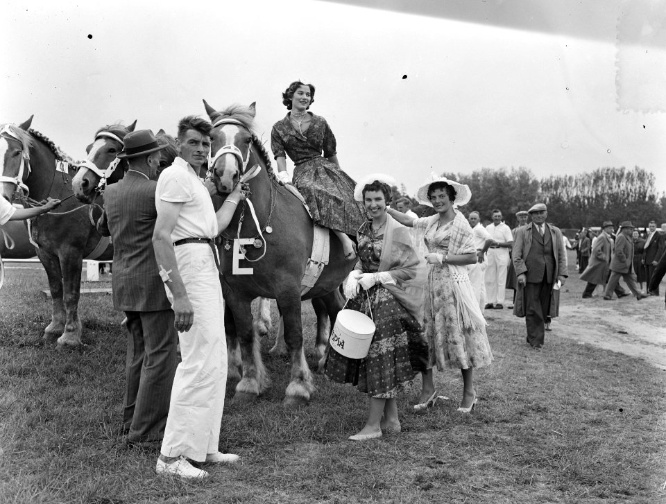 Concours Hippique t.g.v. 100 jaar Haarlemmermeer, Bestanddeelnr 907-2201