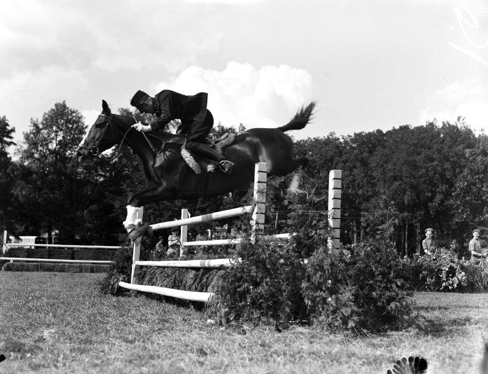 Concours Hippique Twente, Bestanddeelnr 901-8083