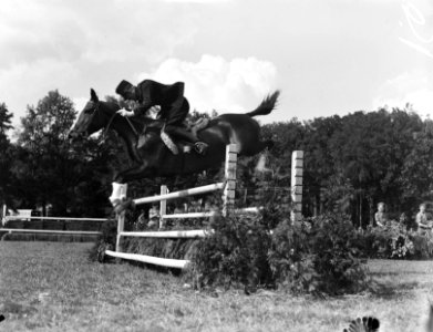 Concours Hippique Twente, Bestanddeelnr 901-8083