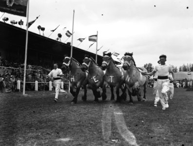 Concours Hippique t.g.v. 100 jaar Haarlemmermeer, Bestanddeelnr 907-2199