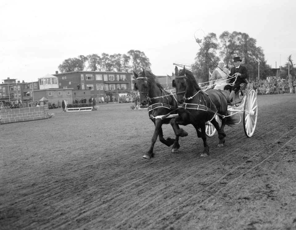 Concours Hippique Utrecht zijspan tuigpaarden, Bestanddeelnr 907-3264