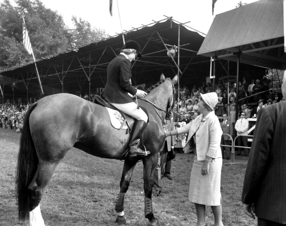 Concours Hippique te Rotterdam Prinses bij paard, Bestanddeelnr 912-8912