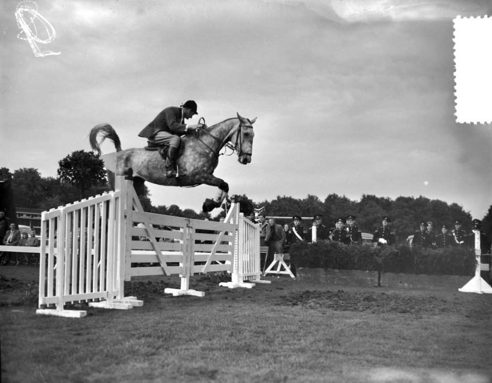 Concours tweespannen tuigpaarden Groningen. Sprong , Bestanddeelnr 907-9673