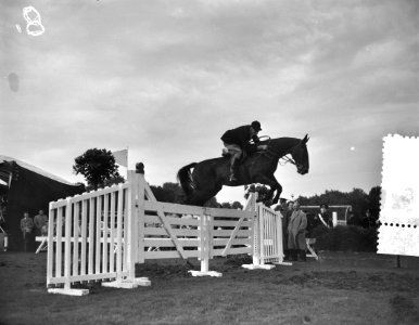Concours tweespannen tuigpaarden Groningen Sprong G J Huizinga Garsthuizen, Bestanddeelnr 907-9672