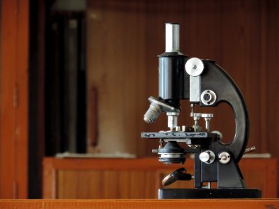 Compound Microscope