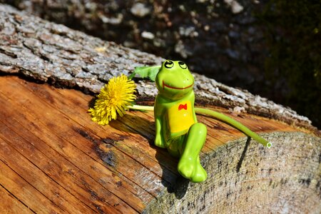 Cute nature sit