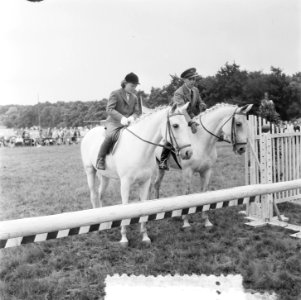 Concours Hippique Den Haag. Prinses Irene en Prins Bernhard, Bestanddeelnr 905-2698