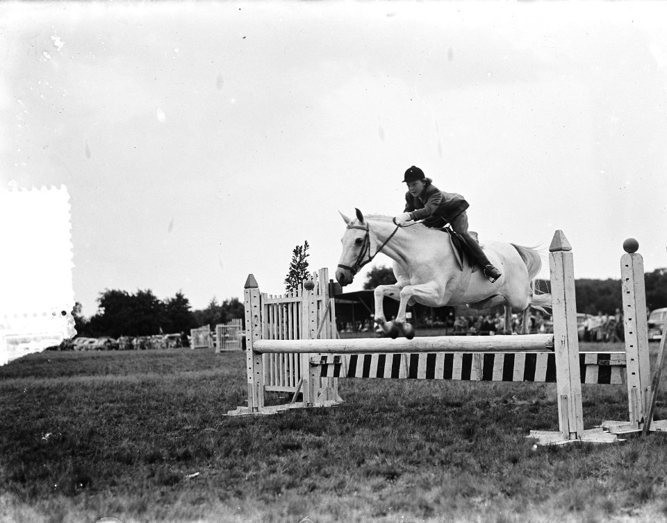Concours Hippique Den Haag. Prinses Irene springt, Bestanddeelnr 905-2676