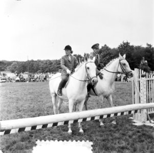 Concours Hippique Den Haag. Prinses Irene en Prins Bernhard . Ook de nummers 526, Bestanddeelnr 905-2703