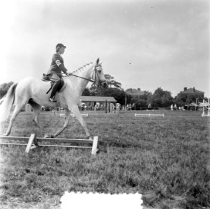 Concours Hippique Den Haag. Prinses Irene en Prins Bernhard . Ook de nummers 526, Bestanddeelnr 905-2700