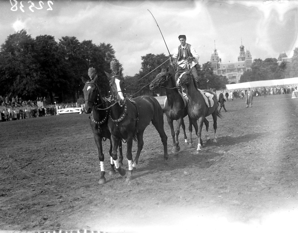Concours Hippique Amsterdam, Bestanddeelnr 902-2538