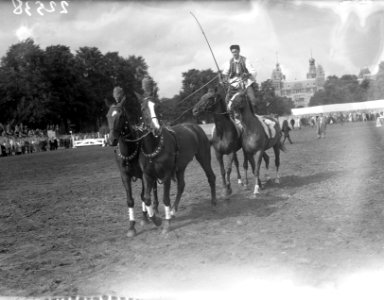 Concours Hippique Amsterdam, Bestanddeelnr 902-2538