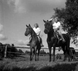 Concours Hippique , Koninklijke familie, Bestanddeelnr 903-5426