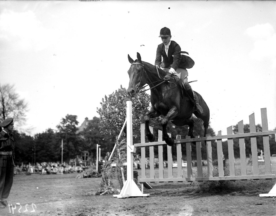 Concours Hippique Amsterdam, Bestanddeelnr 902-2541