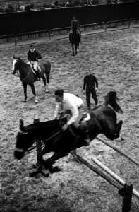 Concours Hippique in de RAI, Anton Ebben tijdens de training in de RAI, Bestanddeelnr 914-4446