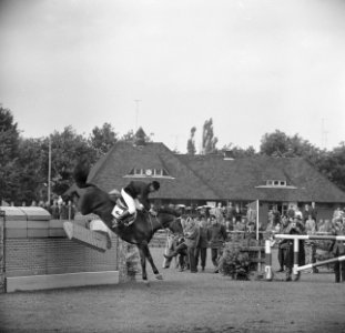Concours Hippique in Sportpark Rightersbleekte Enschede de Duitse Ute Richter vi, Bestanddeelnr 915-2873