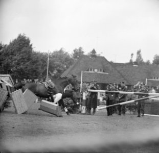 Concours Hippique in Sportpark Rightersbleekte Enschede de Duitse Ute Richter vi, Bestanddeelnr 915-2872