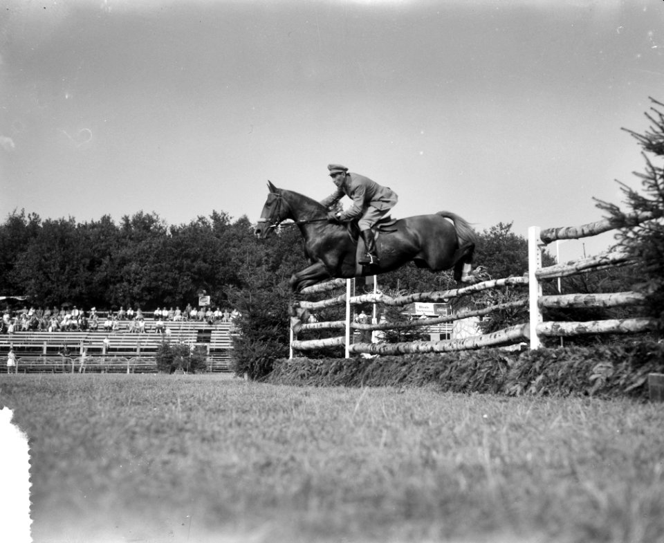 Concours Hippique in Rotterdam Kaptein d Inzeo gaat over hindernis, Bestanddeelnr 912-8784