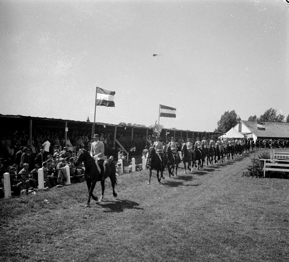 Concours Hippique in Hoofddorp, Bestanddeelnr 904-6801
