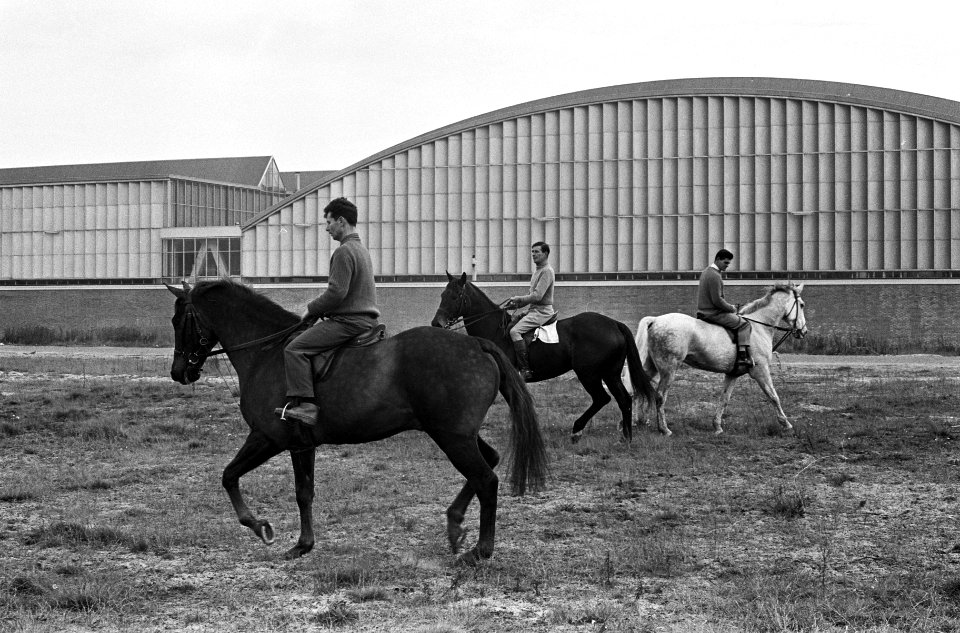 Concours Hippique in het RAI-gebouw. Geheel links de Engelse kampioen 1963 Warpo, Bestanddeelnr 915-6921