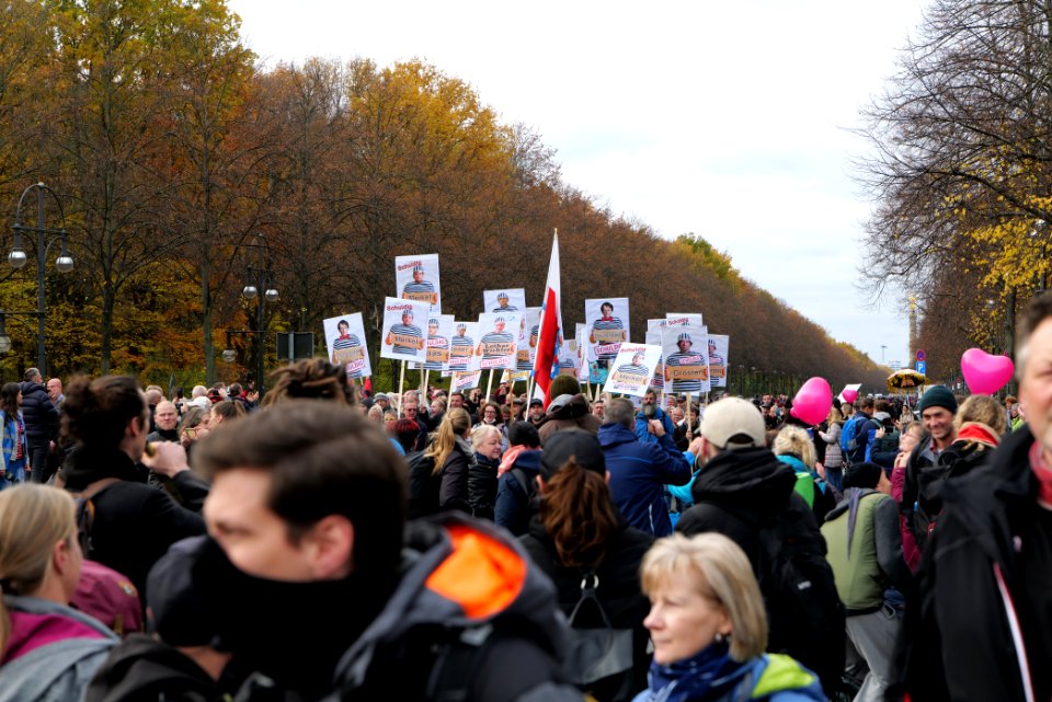 Conspiracist demonstration Berlin 2020-11-18 45