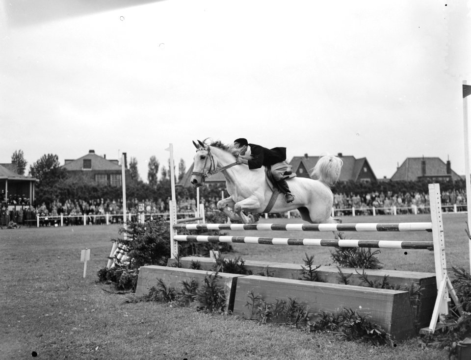 Concours Hippique t.g.v. 100 jaar Haarlemmermeer, Bestanddeelnr 907-2202