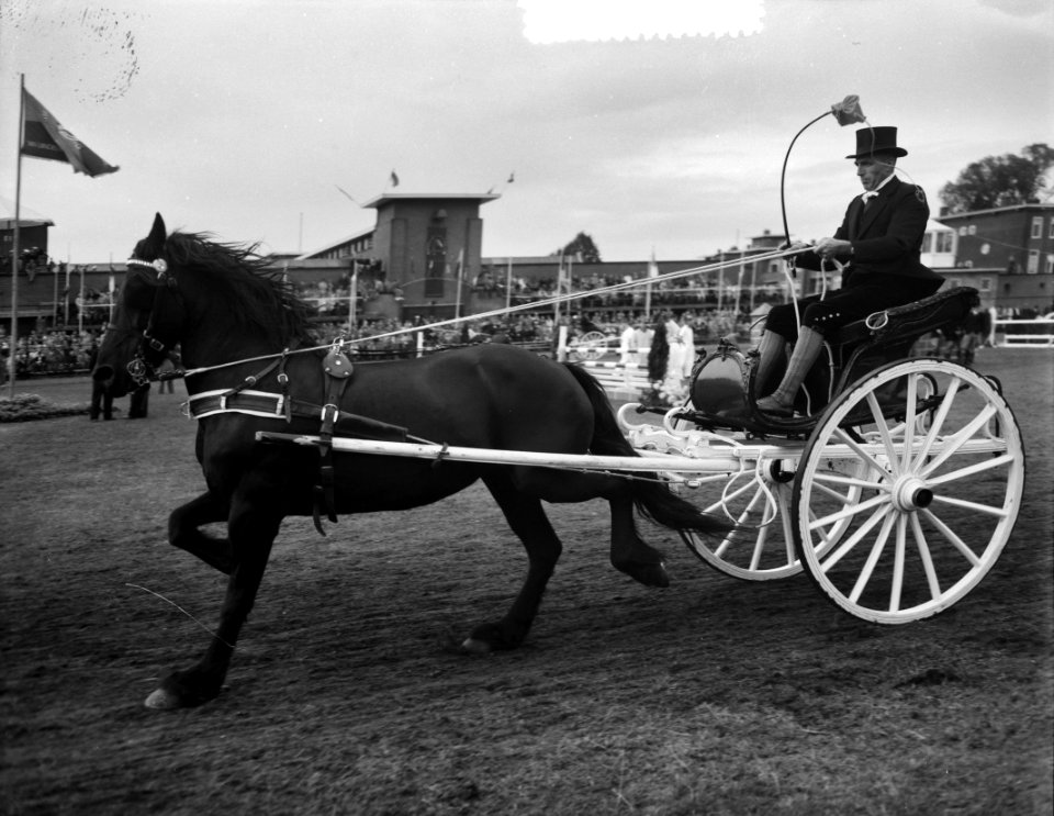 Concours Hippique Utrecht, Bestanddeelnr 907-3266