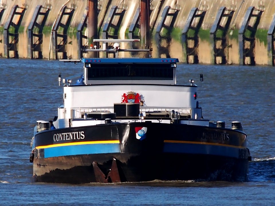 Contentus (ship, 1950) ENI 02318115 Port of Antwerp pic1