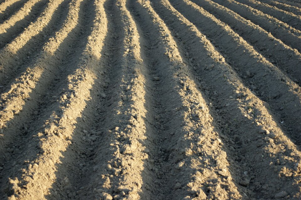Husbandry plough ground