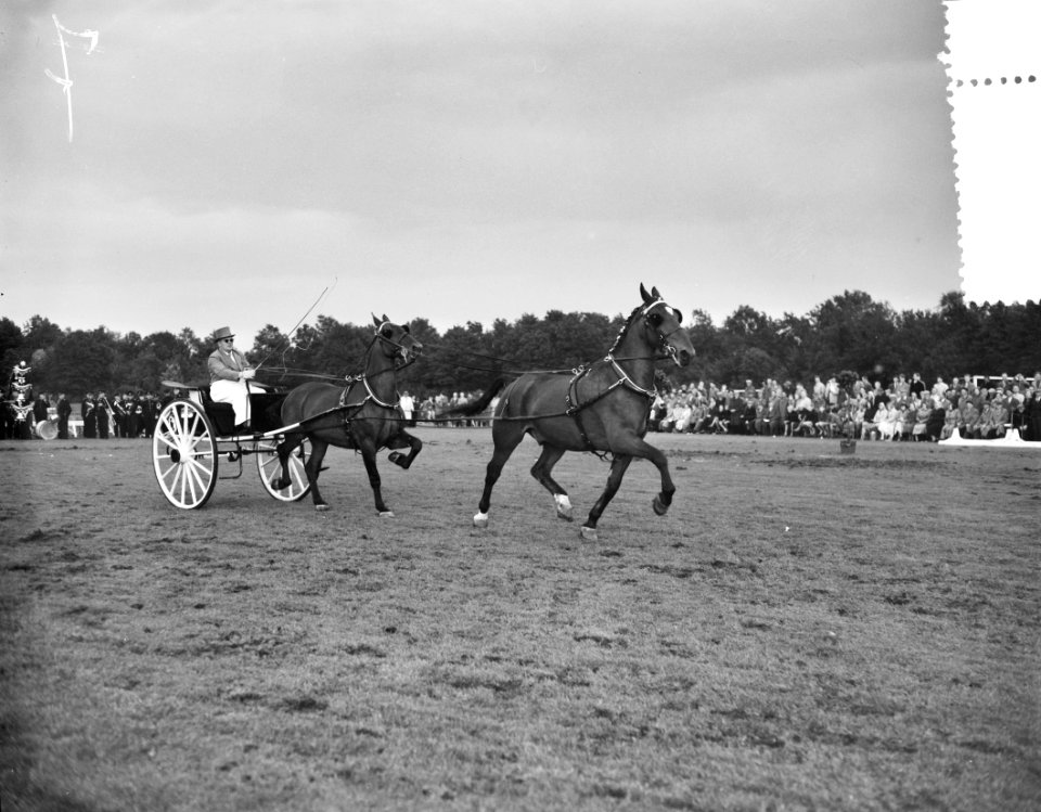 Concours tweespannen tuigpaarden Groningen A. J. A. Platvoet Enschede, Bestanddeelnr 907-9671