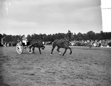 Concours tweespannen tuigpaarden Groningen A. J. A. Platvoet Enschede, Bestanddeelnr 907-9671