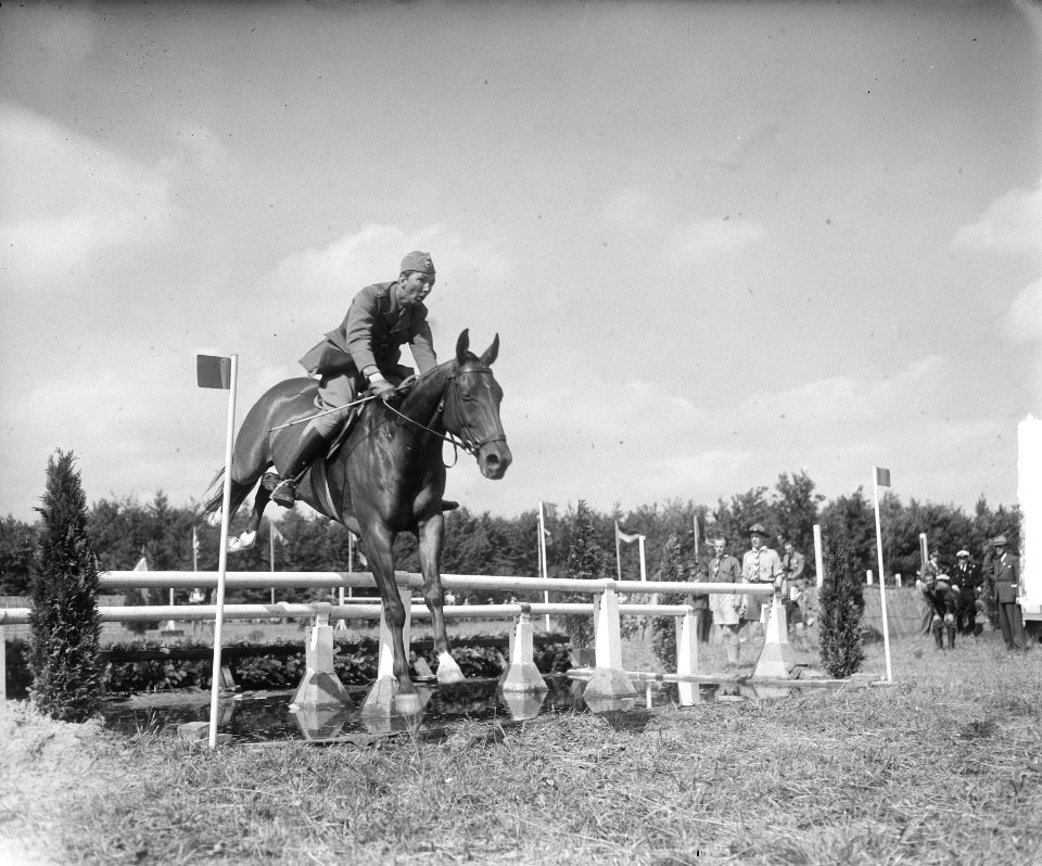 Concours Hippique Rotterdam, Bestanddeelnr 903-5905