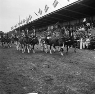 Concours Hippique in Hoofddorp, Bestanddeelnr 911-4219