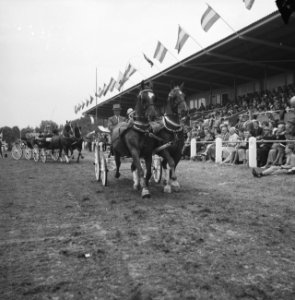 Concours Hippique in Hoofddorp, Bestanddeelnr 911-4217