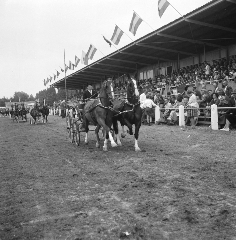 Concours Hippique in Hoofddorp, Bestanddeelnr 911-4218