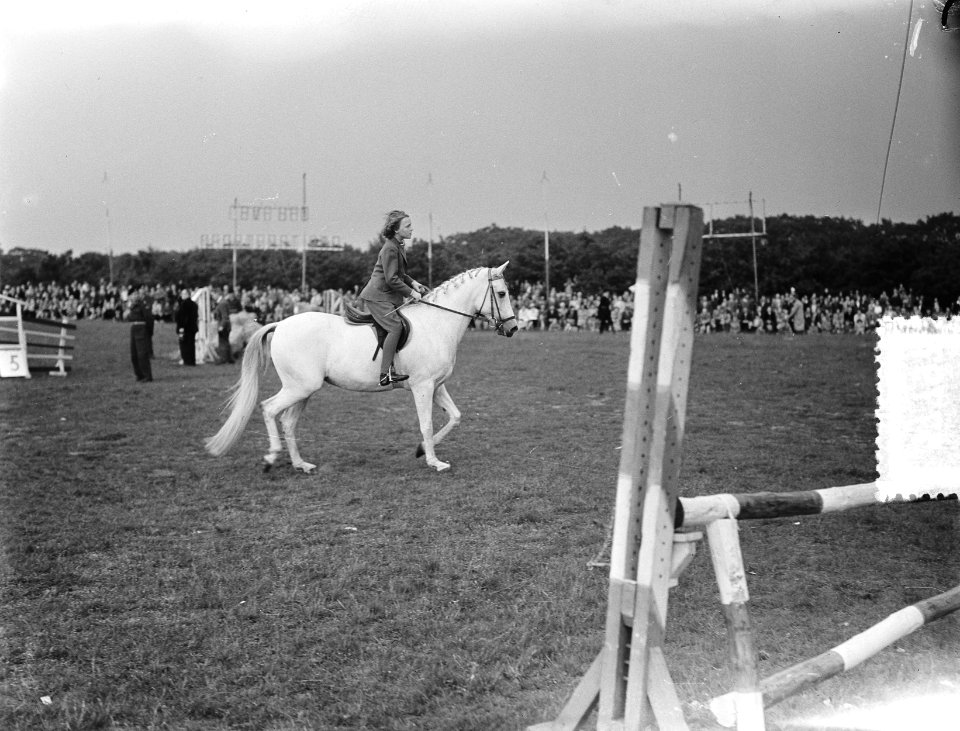 Concours Hippique te Amersfoort deelname Irene, Bestanddeelnr 905-7797